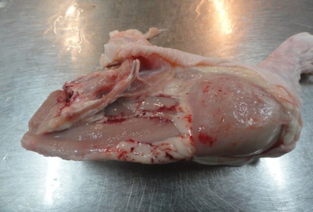 Научно-практические аспекты инфекционной анемии цыплят фото 2