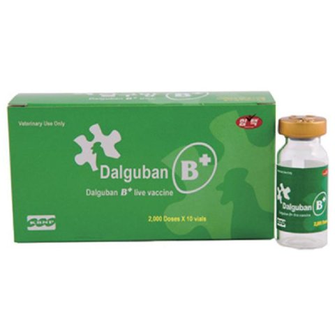 Вакцина Himmvac Dalguban B+ Live Vaccine