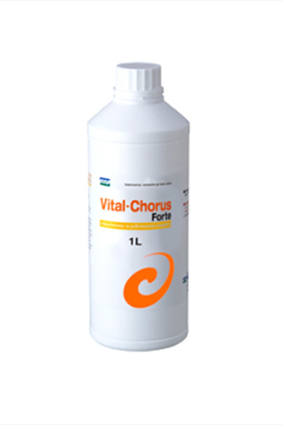 Витамин Vital Chorus Forte