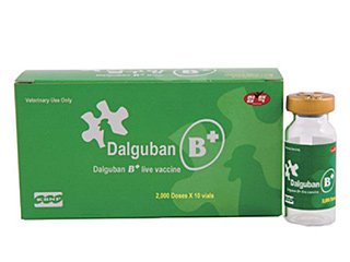 Вакцина Himmvac Dalguban B+ Live Vaccine