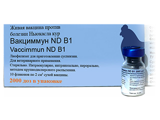 Вакцина Вакциммун ND B1