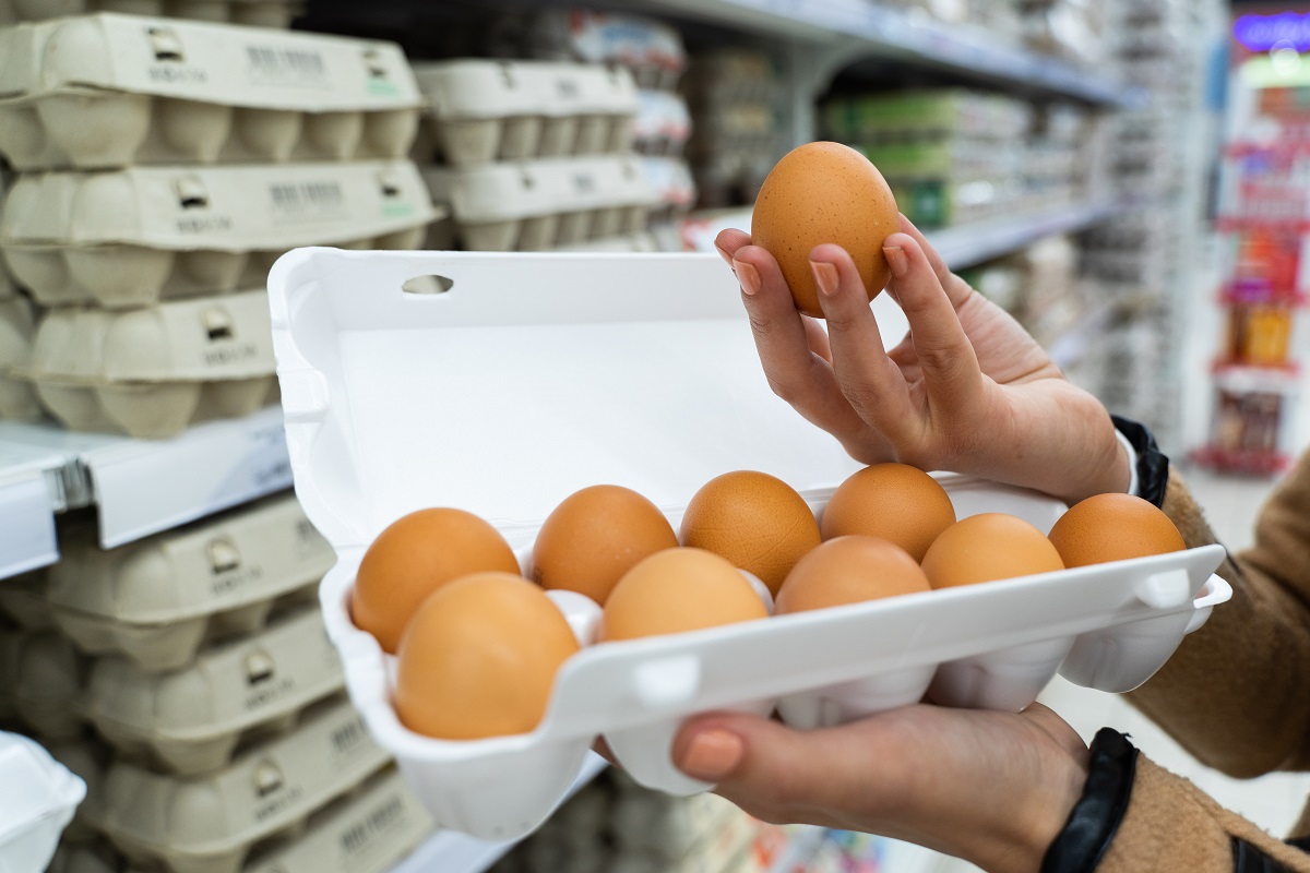 ФАС: ряд крупных ретейлеров ограничат наценку на куриные яйца