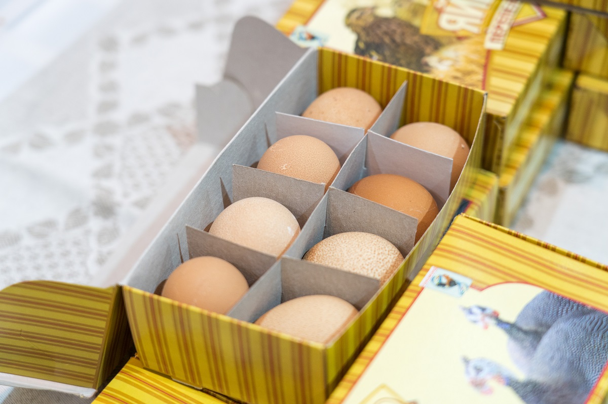 Россельхознадзор разрешил поставки яиц с ряда предприятий Турции