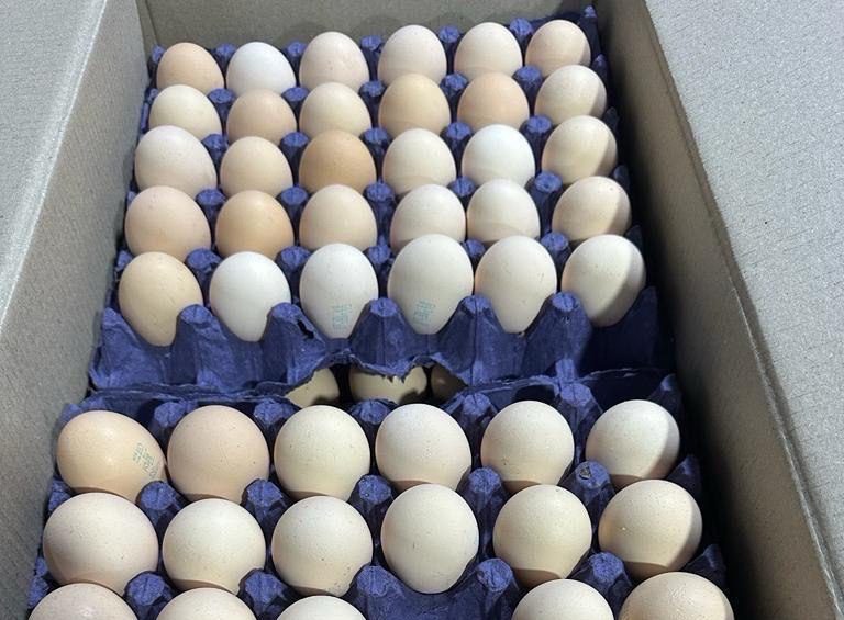 В Россию поставили первую партию яиц из Азербайджана в количестве 612 тыс. штук
