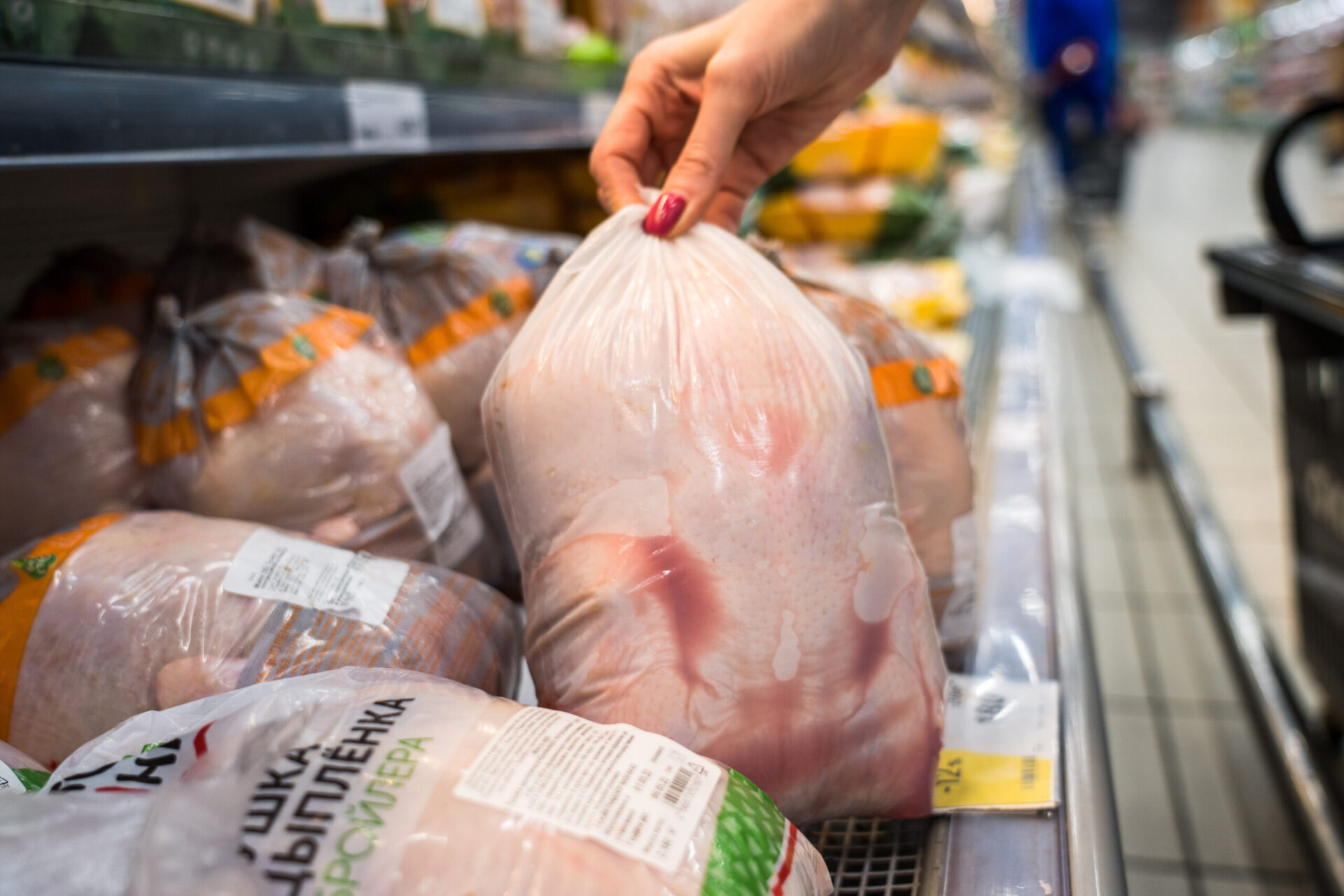 Прогноз «ВиЖ»: как в 2024 году изменятся объемы производства мяса птицы в России