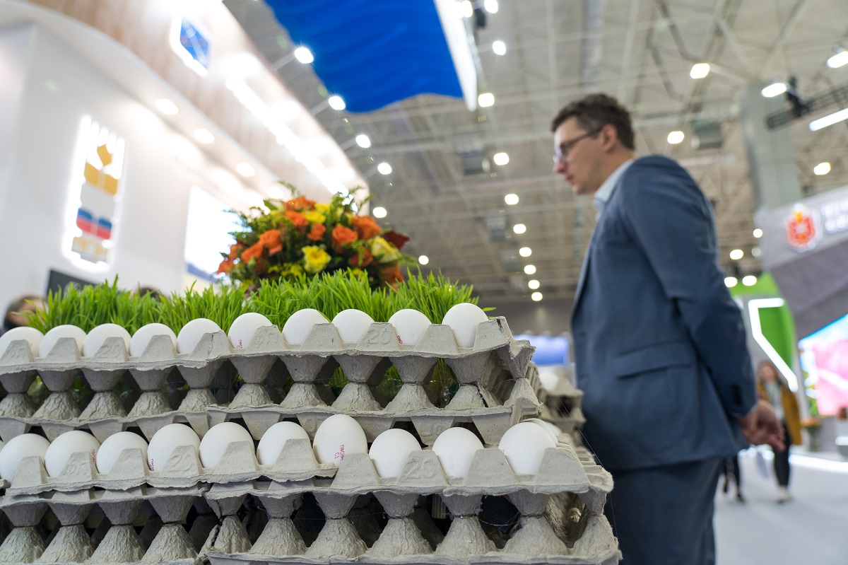 Куриные яйца оказались на втором месте по росту цен на продукты питания в декабре