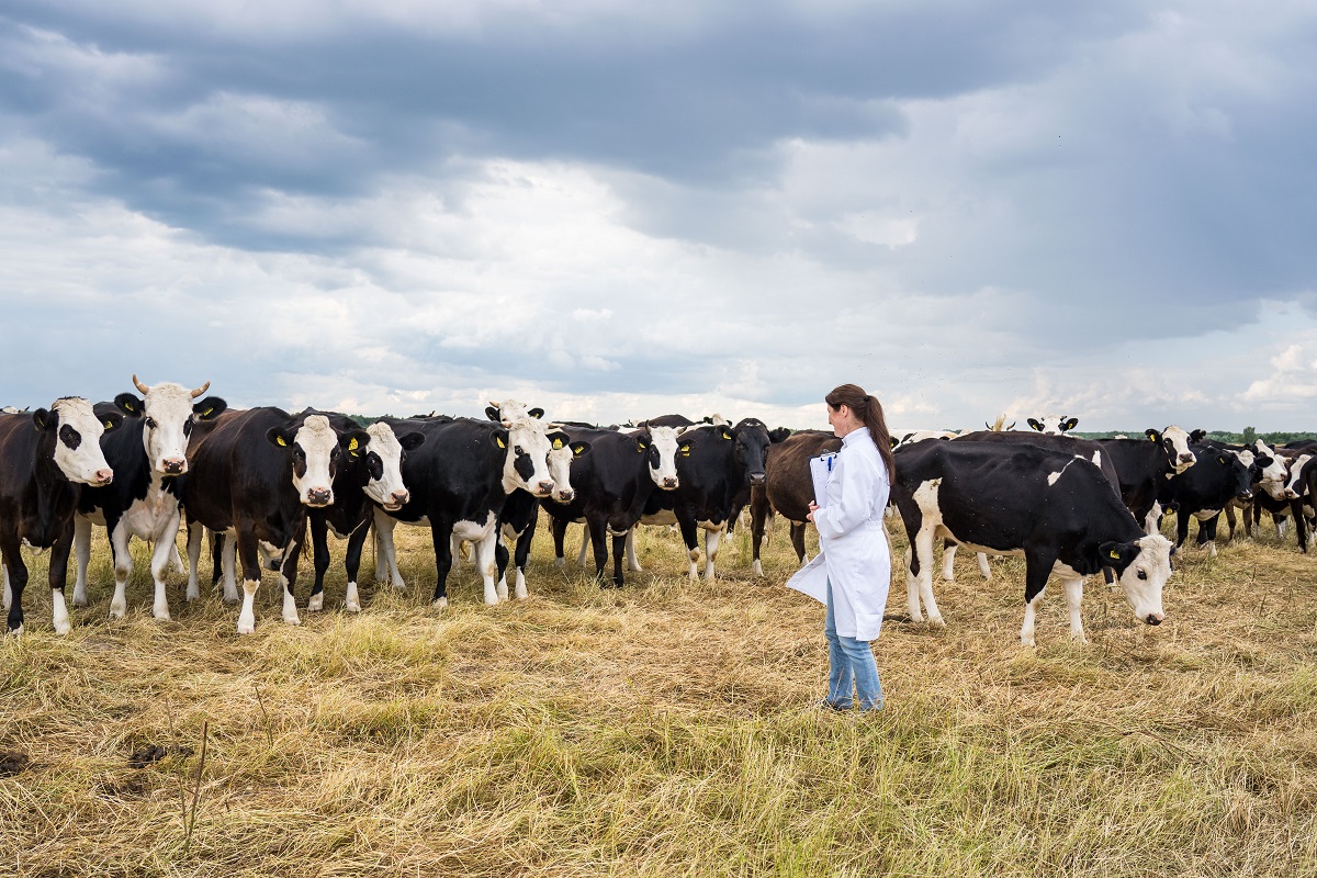 Американский штамм-мутант гриппа птиц может попасть в Европу — Россельхознадзор