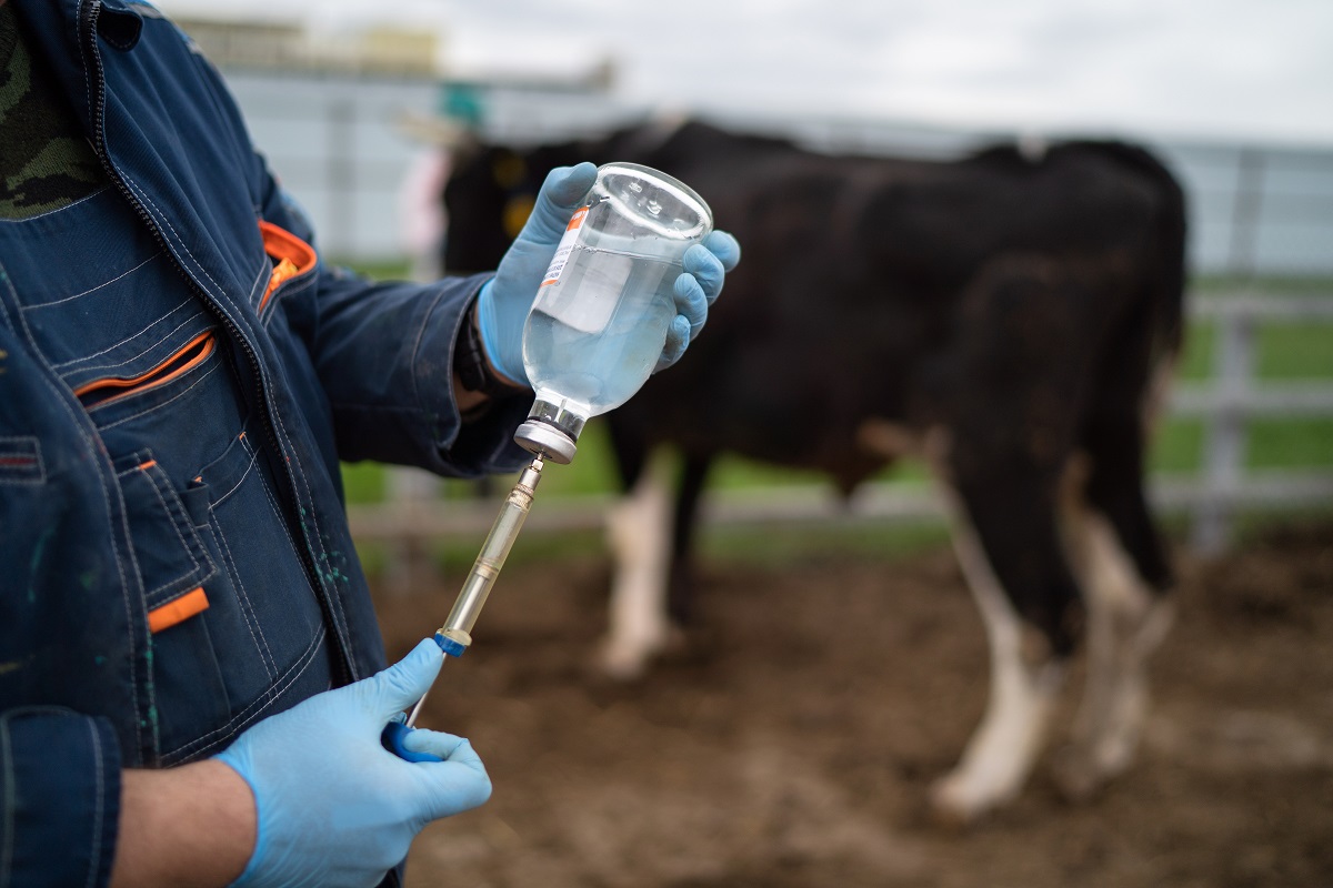 Российский рынок вакцин для животных к 2030 году вырастет в 1,5 раза — аналитики