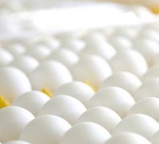 Где в России больше всего производят яиц?