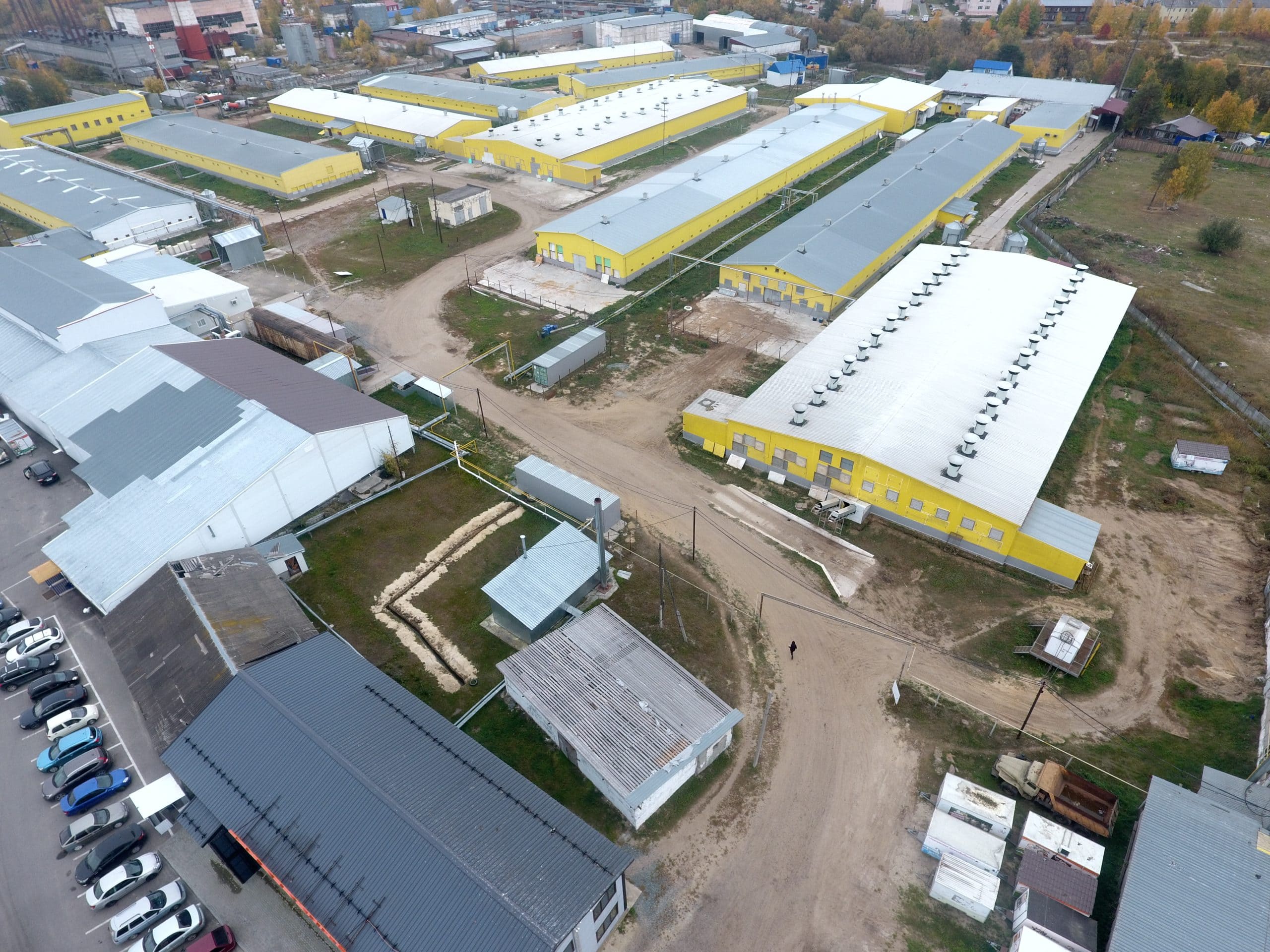 Сургутскую птицефабрику оштрафовали за кокцидиостатики в курятине