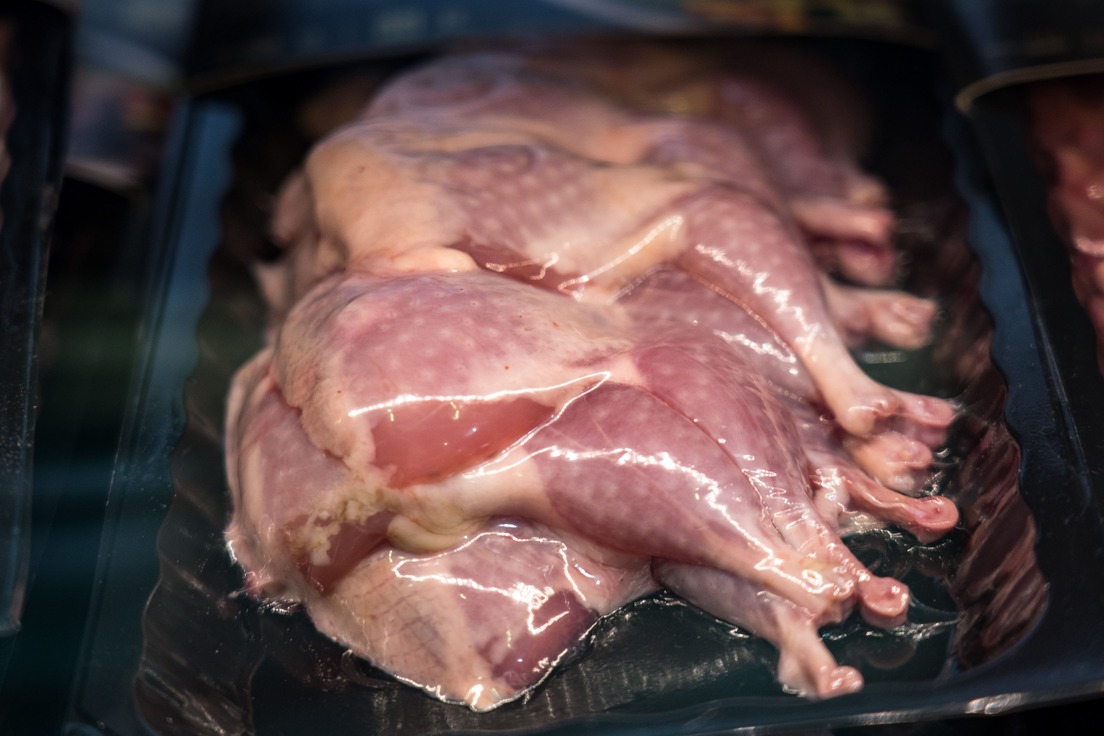 Микрочипы помогут ускорить поиск сальмонеллы в мясе птицы
