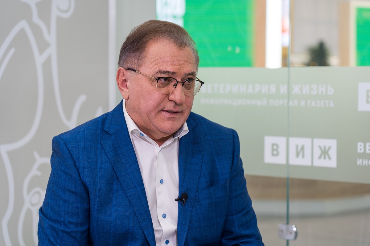 Как изменились подходы к страхованию сельхозживотных в первом полугодии, рассказали в НСА