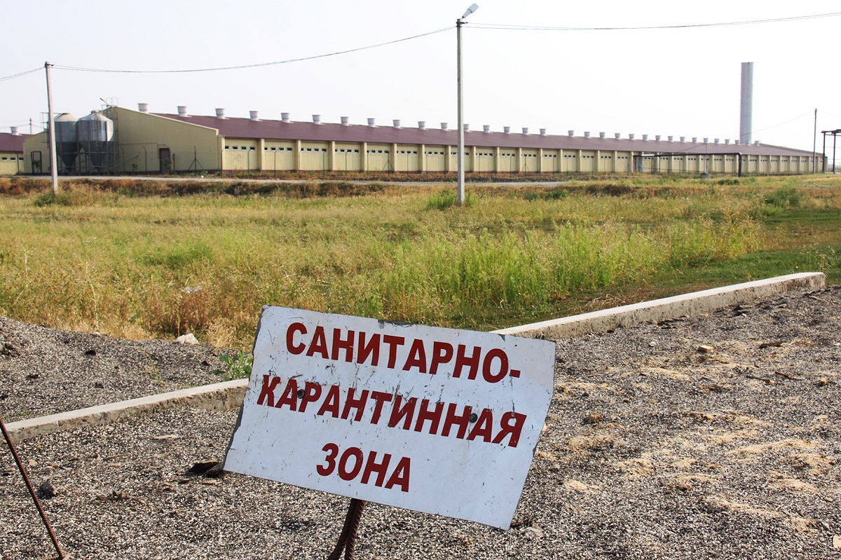 Биоотходы на ферме: как правильно утилизировать и не попасть под штраф