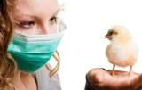 Будет ли новая пандемии из-за мутации вируса гриппа птиц?