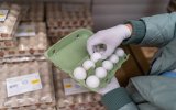 Минсельхоз ожидает стабилизации цен на куриные яйца в течение месяца