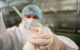 Аграрии полностью обеспечены вакцинами против наиболее значимых болезней домашней птицы