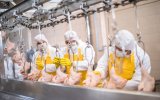 Виктория Абрамченко прогнозирует рост производства мяса птицы на 150 тыс. тонн