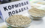 ФАС согласовала правила торговли кормовым метионином в РФ