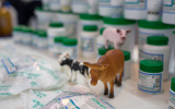 Российский рынок ветпрепаратов в 2025 году вырос на 12%, до 136,5 млрд рублей