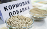 Россельхознадзор приостановил госрегистрацию китайской кормовой добавки 