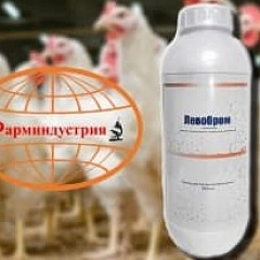 Проблема с опасными респираторными заболеваниями решена - Левобром на птицефабриках