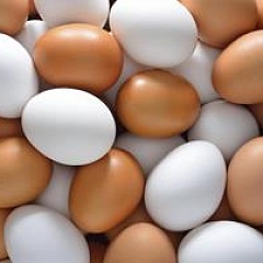 Минсельхоз прогнозирует рост производства яиц