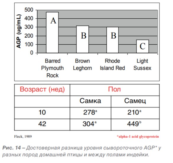 Рис. 14 – Достоверная разница уровня сывороточного AGP.jpg