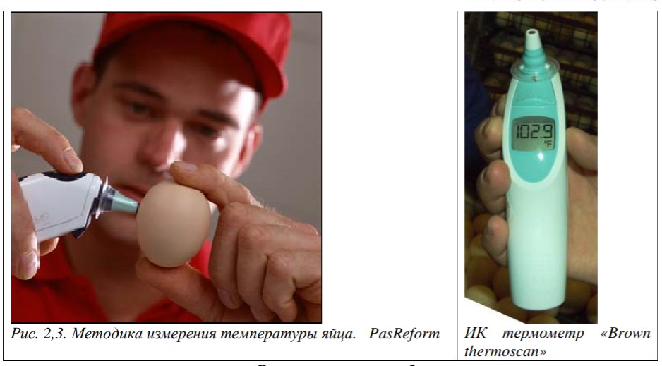 Рис. 2,3. Методика измерения температуры яйца..jpg