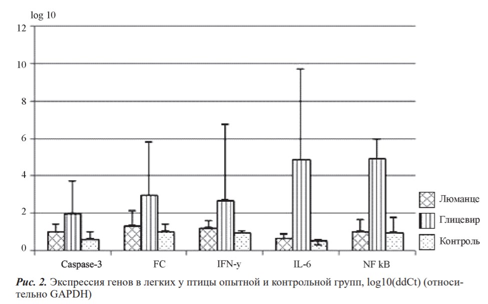Рис. 2. Экспрессия генов в легких у птицы опытной и контрольной групп, log10(ddCt) (относительно GAPDH).jpg
